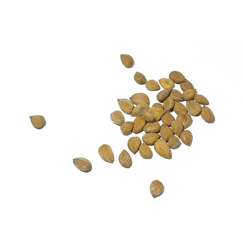 Apricot nuts (Kernels)