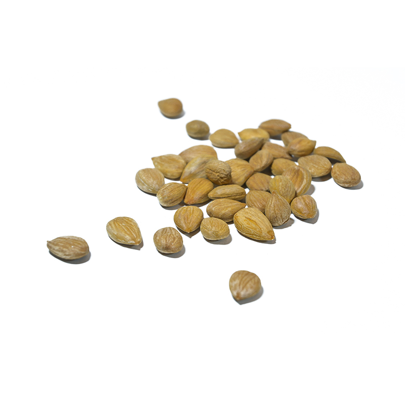 Apricot nuts (Kernels)