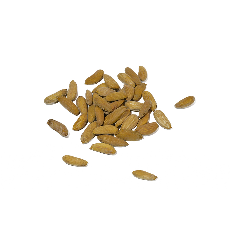 Shahristani Almond