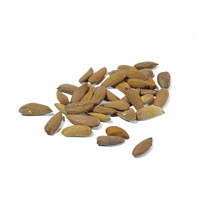 Satarbai Almond � Kernel