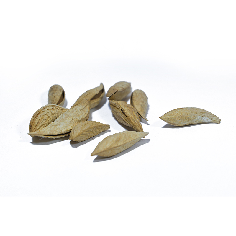 Soft-Shell Sattarbai Almonds